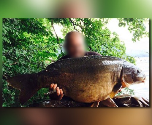 UZEMNÁ PODPORKA MISTRALL PROCARP