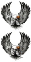 NÁLEPKY NÁLEPKY EAGLES V SÚPRAVE FIGHT EAGLE