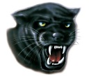 NÁLEPKA NA AUTOMOTOR PANTHER PUMA PUMA HEAD