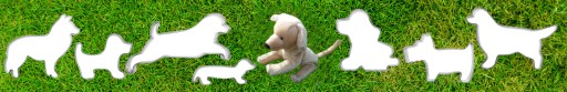 Formička DOG JAZVEČÍK 8 cm - vykrajovačka psov, psík