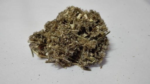 Mugwort bylina palina - 50g - Dary Podlasie