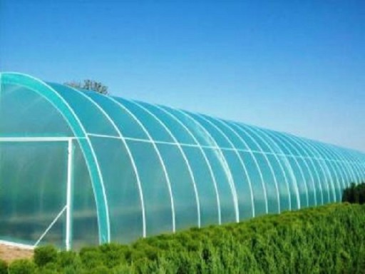 ZÁHRADNÁ TUNELOVÁ FÓLIA UV4, 6M ŠÍRKA, ČERSTVÁ VÝROBA 2024