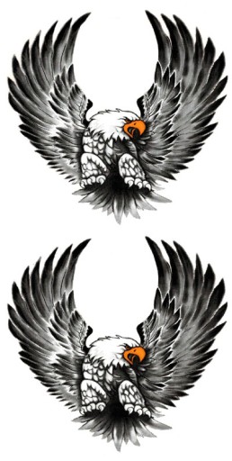 NÁLEPKY NÁLEPKY EAGLES V SÚPRAVE FIGHT EAGLE