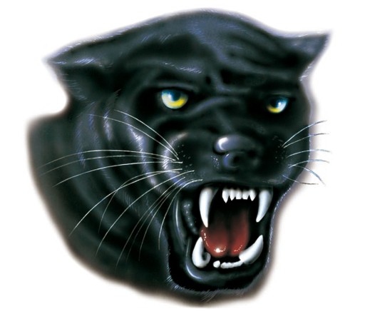 NÁLEPKA NA AUTOMOTOR PANTHER PUMA PUMA HEAD