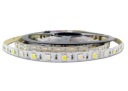 LED pás 5050 300D RGBW, prírodná biela, 1 m