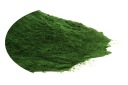 Bylina SPIRULINA PRÁŠKOVÁ (50g)