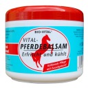CHLADIACA KONSKÁ MASŤ 500ml NEMECKO PFERDEBALSAM