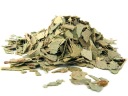 EUKALYPTUS eukalyptový list 50 g - Aromatika