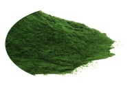 Bylina SPIRULINA PRÁŠKOVÁ (50g)
