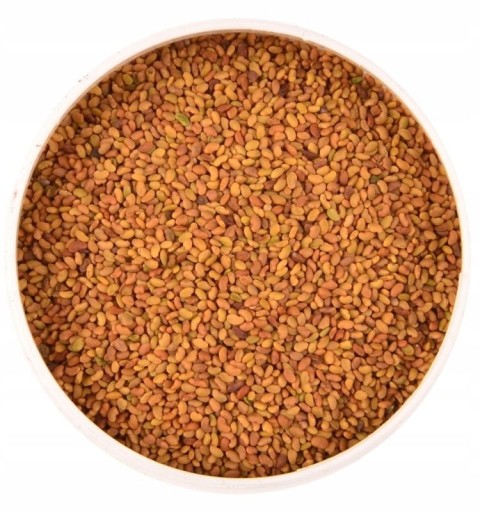 Alfalfa klíčiace semená 20g - Semená - W. Legutko