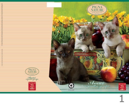 NOTEBOOK A5 42K KR PIGNA NATURE AMICI EKO 0224821Q