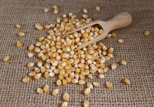 POPCORN pukance 1kg bez soli