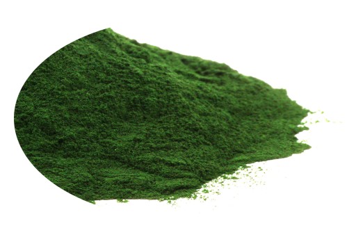 Bylina SPIRULINA PRÁŠKOVÁ (50g)