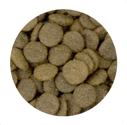 KRMIVO PRE DOSPELÝCH LÚČNYCH PRE PSA CANIWILD LÚČNE JAHANČINA 100G