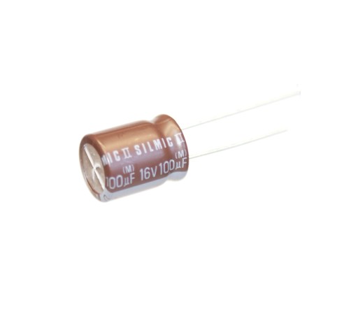ELNA SILMIC II RFS 100uF/16V PRE AUDIO - 2 ks (#151)