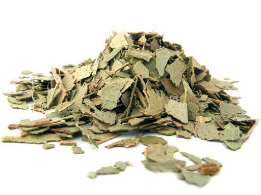 EUKALYPTUS eukalyptový list 50 g - Aromatika