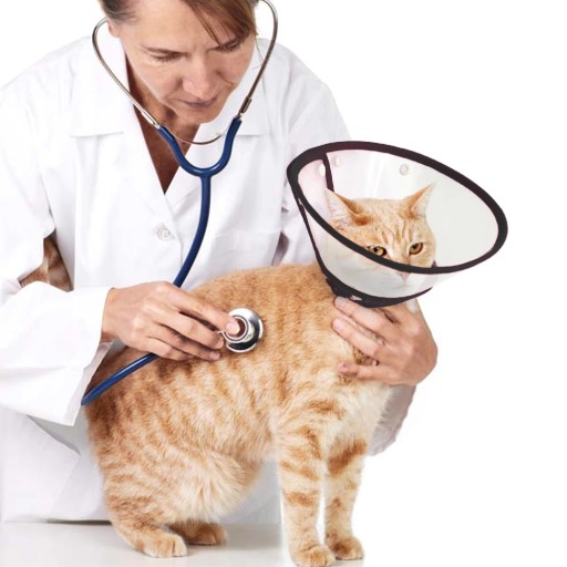 VETERINÁRNY OCHRANNÝ OBOJK PRE PSA A MAČKU, XS