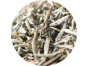 Biely čaj SILVER NEEDLE PREMIUM 30g