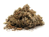 Bylina palina 50 g - Aromatika