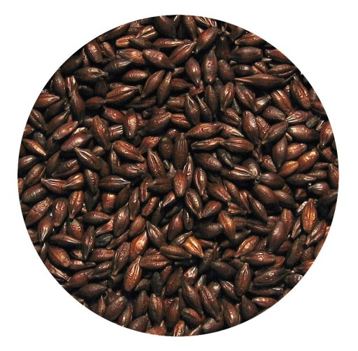 PRAŽENÝ JAČMENNÝ slad 1kg Vikingský slad