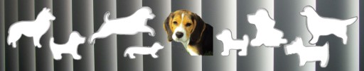 Formička DOG JAZVEČÍK 8 cm - vykrajovačka psov, psík