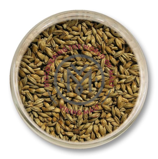 Mníchovský slad II Viking Malt Strzegom 1kg šrot