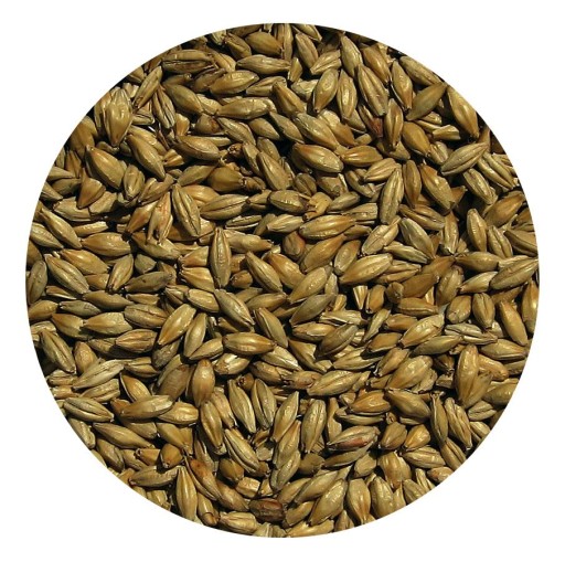 DARK MUNICH slad Viking Malt 1kg