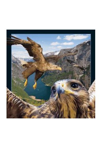 3D EAGLE MAGNET, STOJÍ ZA UCHOVÁVANIE