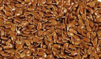 Zlaté ľanové semienka zlatého ľanu GOLDEN LINEN SUPER Q 1kg