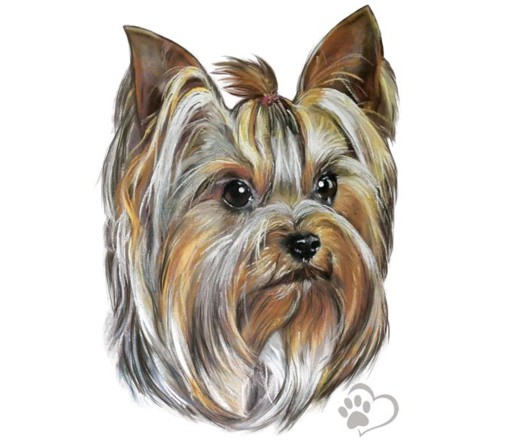 NÁLEPKA NÁLEPKA DOG PEREGREE DOG YORK UV