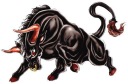 NATIONAL BULL STICKER BULL AUTO TUNING