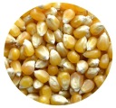 POPCORN Prémiová prírodná kukurica 1kg