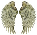 Termo nášivka Flitre Gold Wings VEĽKÁ 34cm
