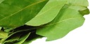 Bobkový list BAY LEAVES 70g od Skworcu