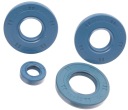 ROMET CHART 210 TESNENIA MOTORA SIMERINGI 4X