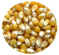 POPCORN Prémiová prírodná kukurica 1kg
