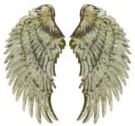 Termo nášivka Flitre Gold Wings VEĽKÁ 34cm