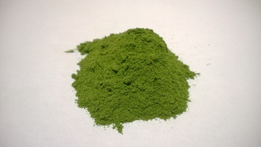 Mladý zelený jačmeň - 200g - Dary Podlasie