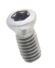 SKRUTKA NA MONTÁŽ TABUĽKY, TVRZENÁ, M2,5x9 TORX