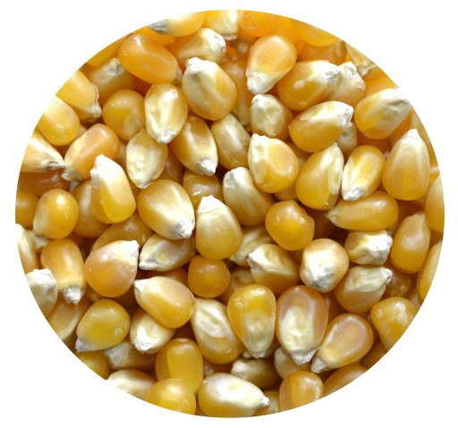 POPCORN Prémiová prírodná kukurica 1kg