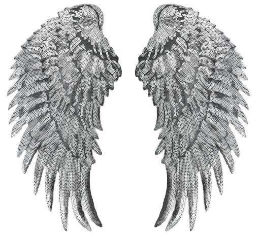Strieborné flitre Wings termo nášivka VEĽKÁ 34cm