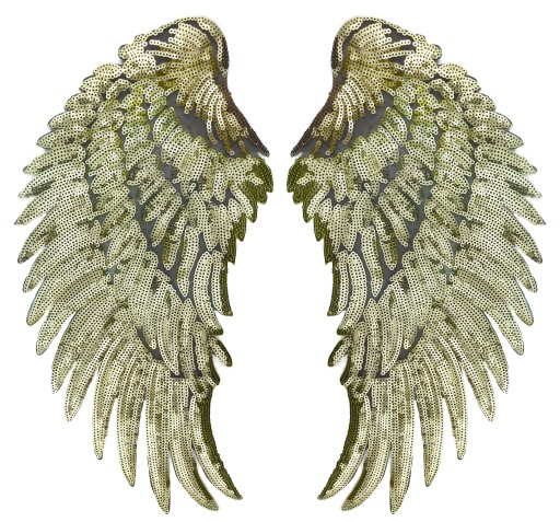 Termo nášivka Flitre Gold Wings VEĽKÁ 34cm
